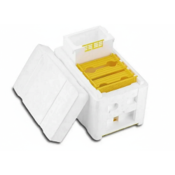 Núcleo Baby de Fecundación | Mini Núcleo para Reinas | Apicandi