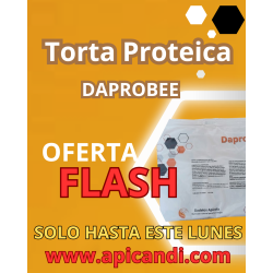 Torta Proteica Daprobee | Apicandi