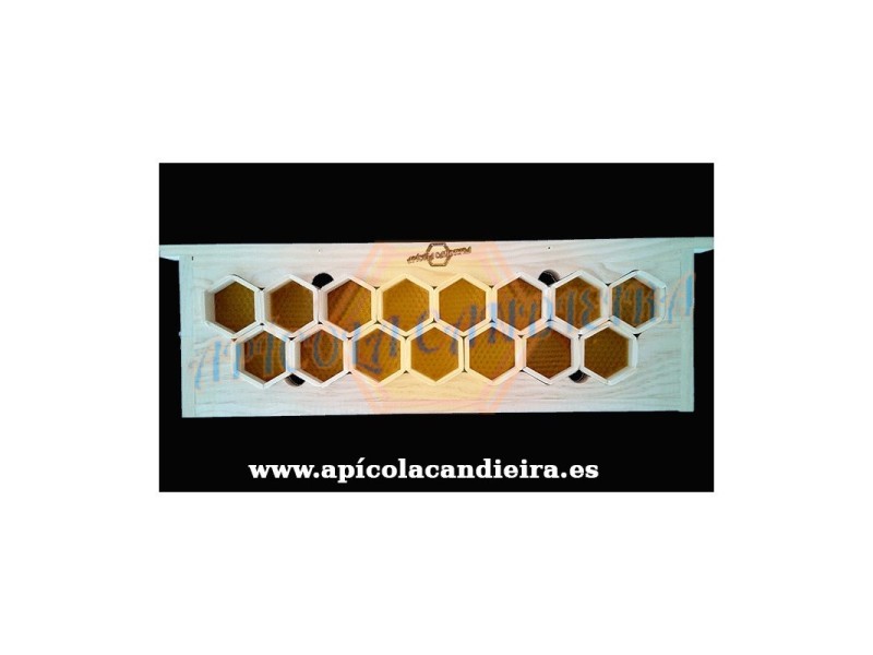 Cuadro miel en panal DELICATESEM