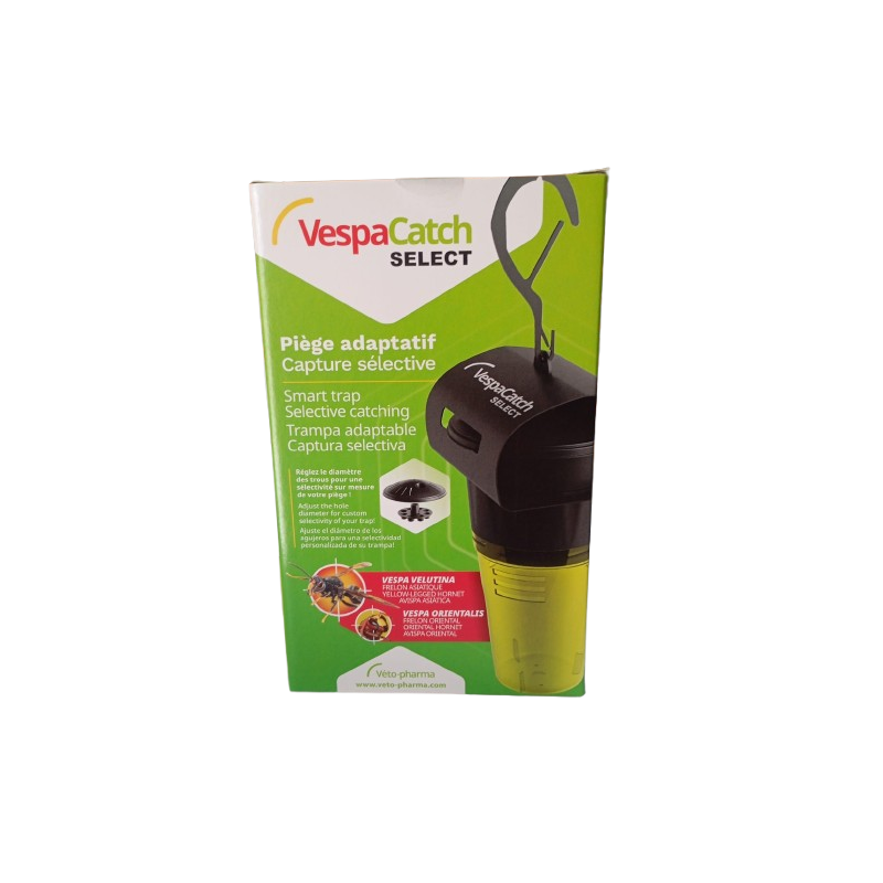 Vespa catch, trampa selectiva para avispones Vespa catch, trampa selectiva para avispones