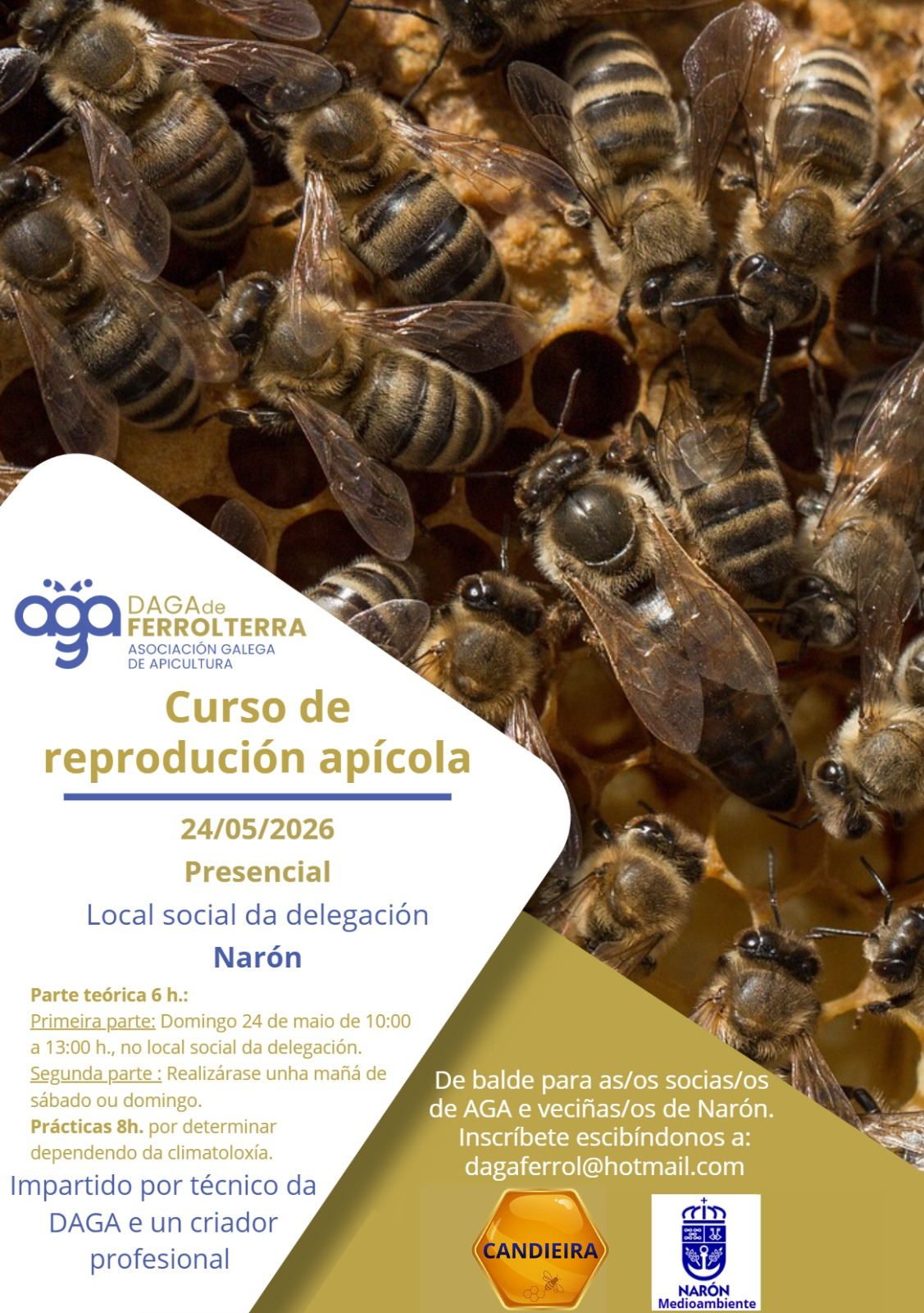 Curso de Reproducción Apícola  y Cría de Reinas.